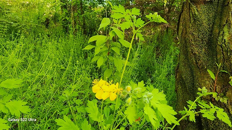 아침운동  썸네일