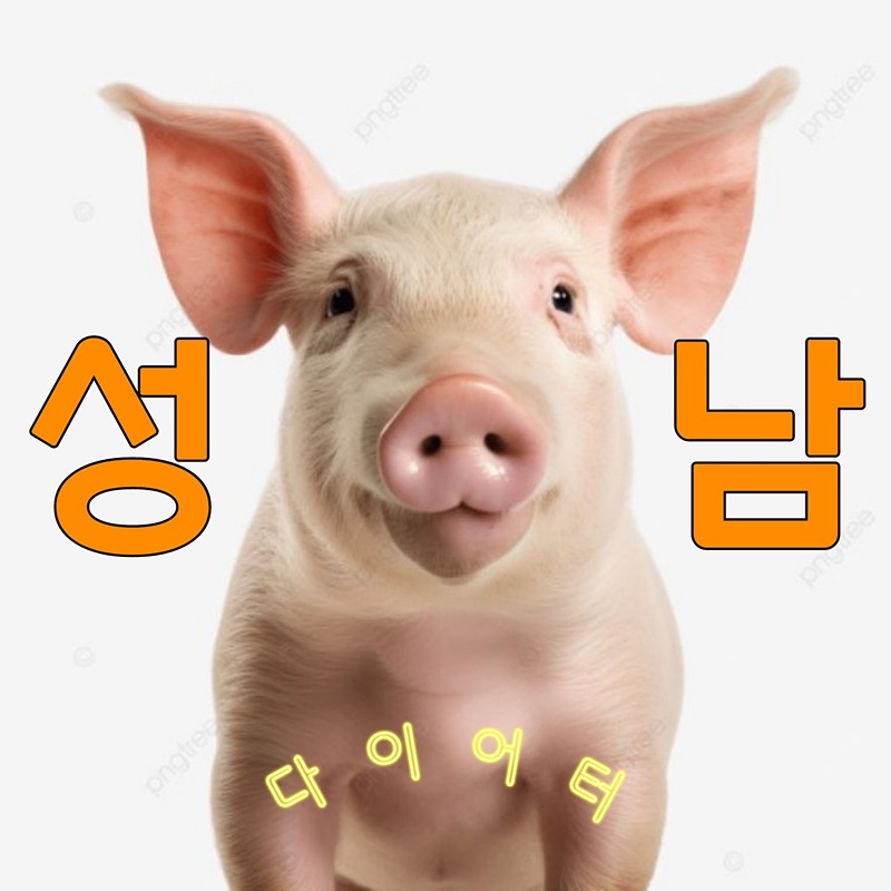 싱글(돌싱).성남 다이어터들의 모임.(평다모 썸네일