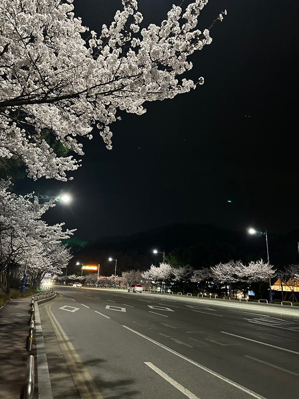 이플, 청순하고 소박한 우리들의 밤산책 썸네일