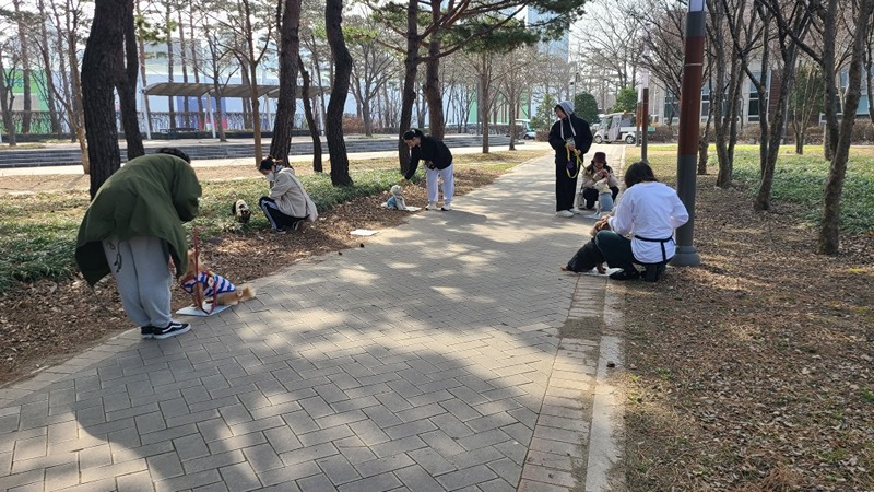 문제행동 강아지들 같이 공부합시다 썸네일