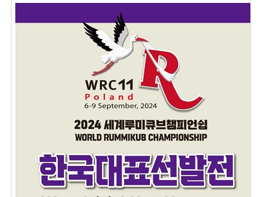 루미큐브 잘 하시는 분 구함 썸네일