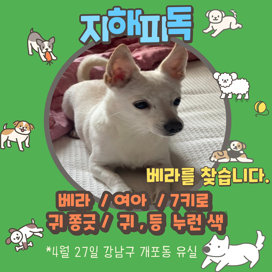 베라 제보는 있는데 아직도 만나지는 못 했어요 썸네일