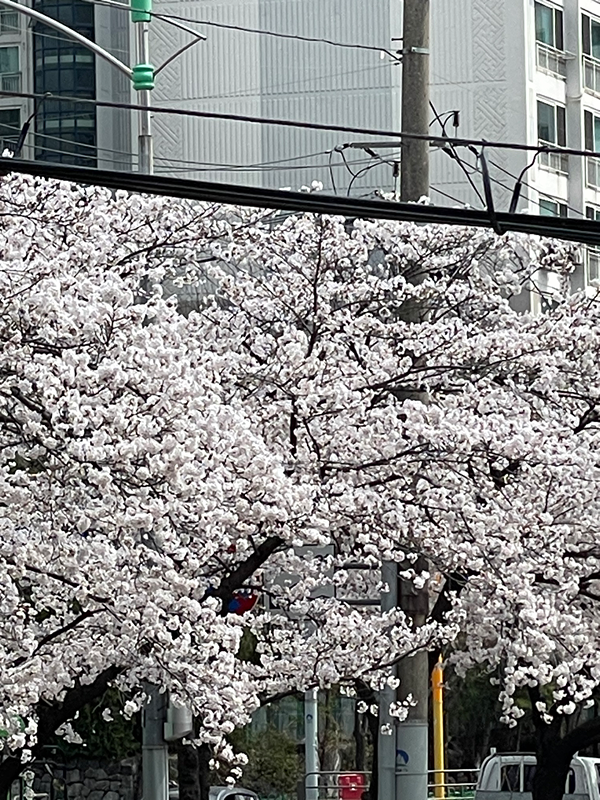 노원 스터디 같이 성장하실분 구합니다!