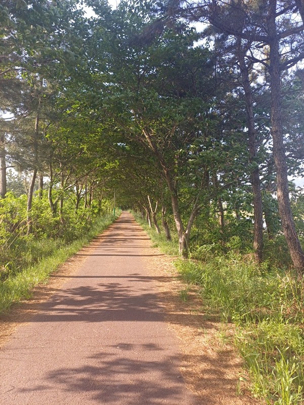 울산북구. 숲길 걸어요~여성분만 오세요^^