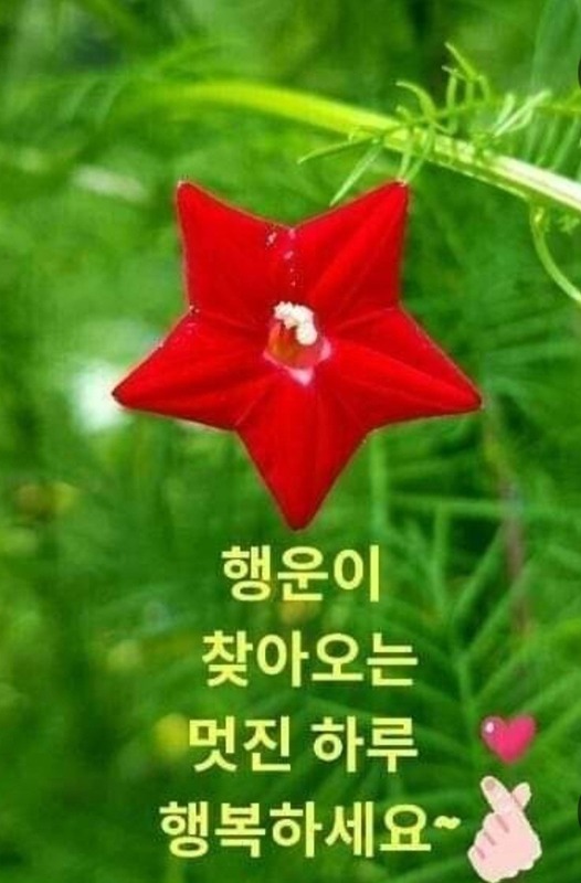 5060 인생길 추억 모임방 썸네일