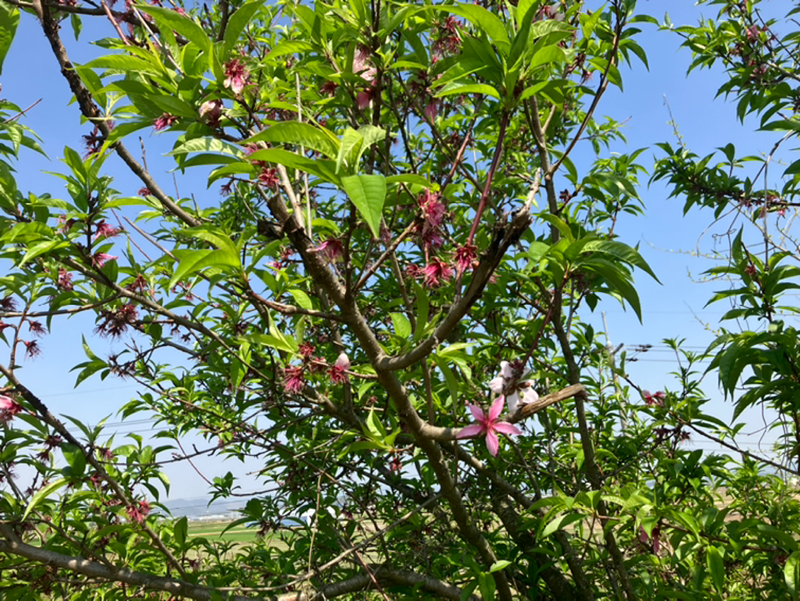 이침 클라스🌸 썸네일