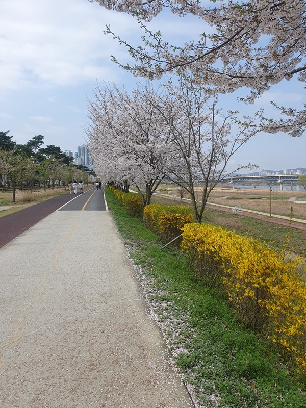 3생 달리기, 등산 등 주말오전운동(달고나)