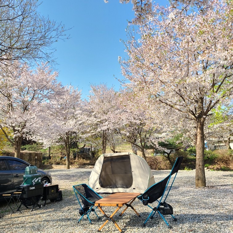 💜💧🌲물맑은캠핑🌲💧💜 썸네일