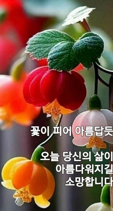 인생여정 추억 만들기(친목) 썸네일