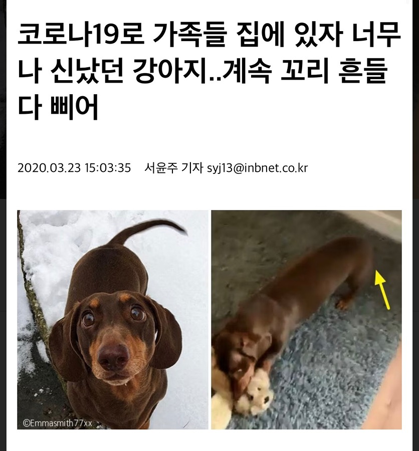 (사진주의)와 갑자기 겁나큰 바퀴벌레나와서 잡았어요 썸네일