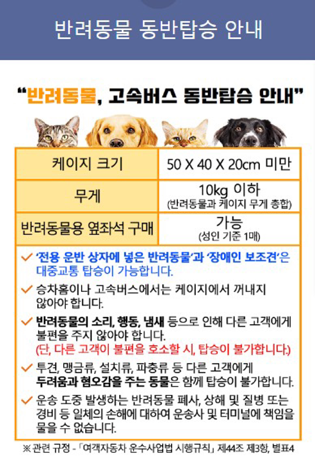 강아지 데리고 시외버스 타보신 분 계실까요? 썸네일