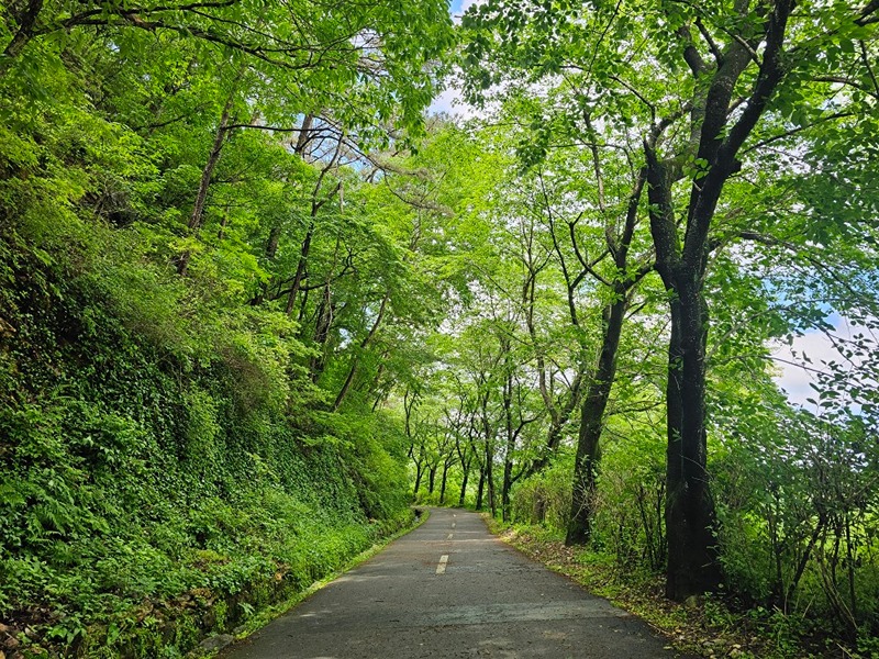 동구 푸른&천변 러닝모임(30대 이상 직장인