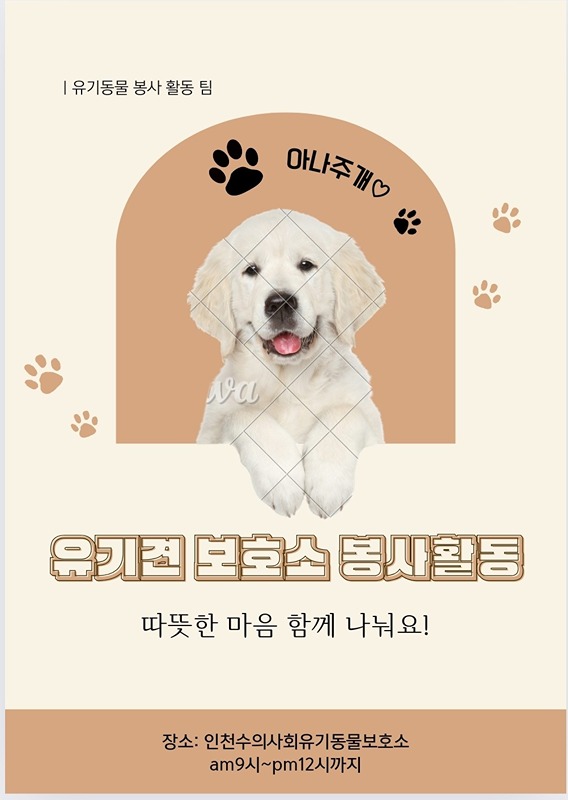 유기 동물 봉사 팀 "아나주개" 썸네일