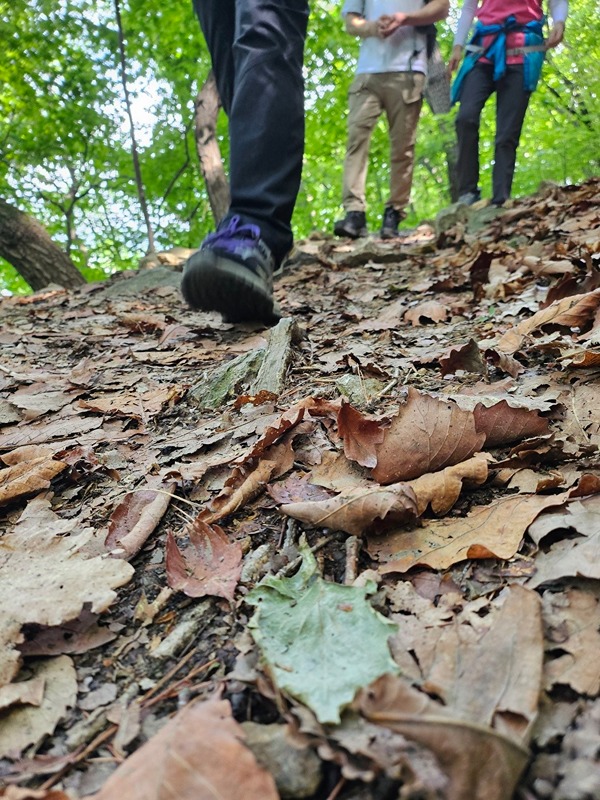 ("산 소리")등산,둘레길,산책해요 썸네일