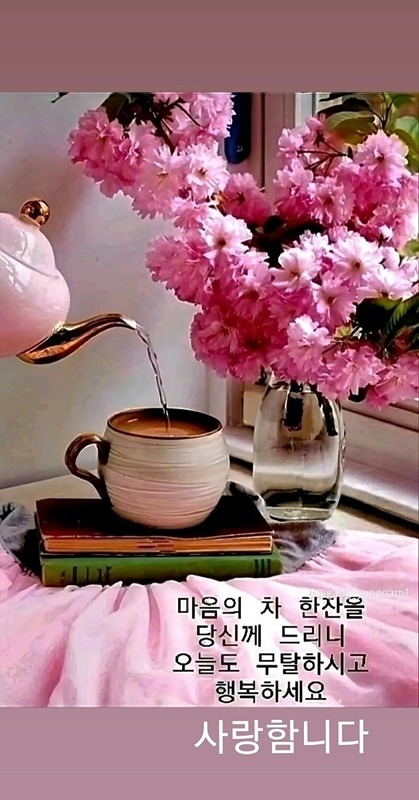 송파강동광진성남하남4050친목모임 썸네일