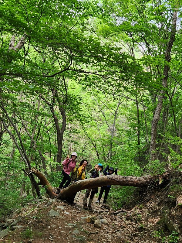 지리산 둘레길 썸네일