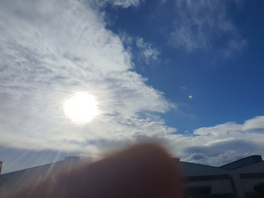 강서구 녹산공단 날씨맑음 썸네일