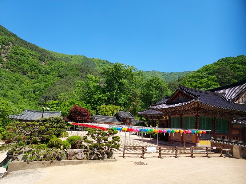 절, 사찰기행 썸네일