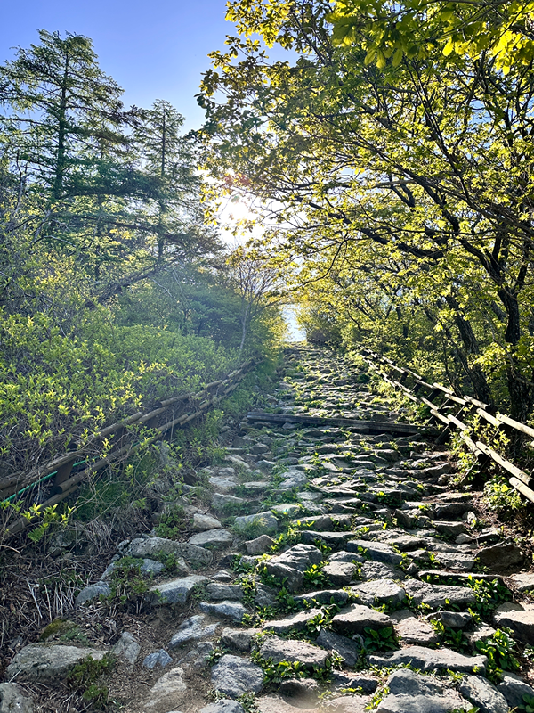 ☆스페셜뽀스 산악회☆ 썸네일