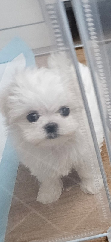 단순 부업 썸네일