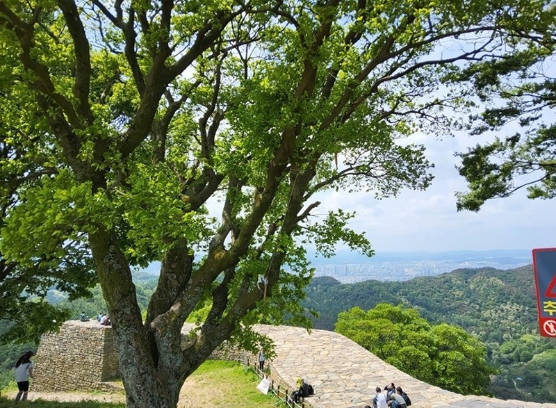 계족산 주말 등산모임 썸네일