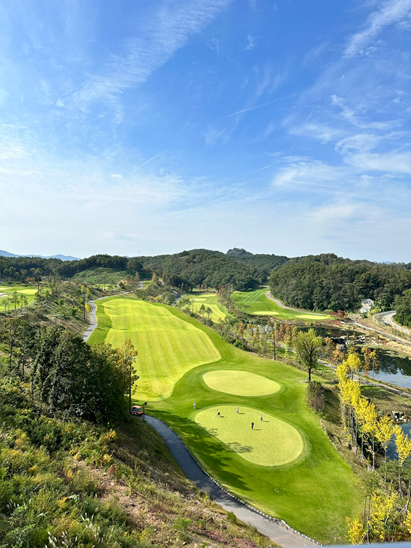 🏌️079 스크린 골프🏌️ 썸네일