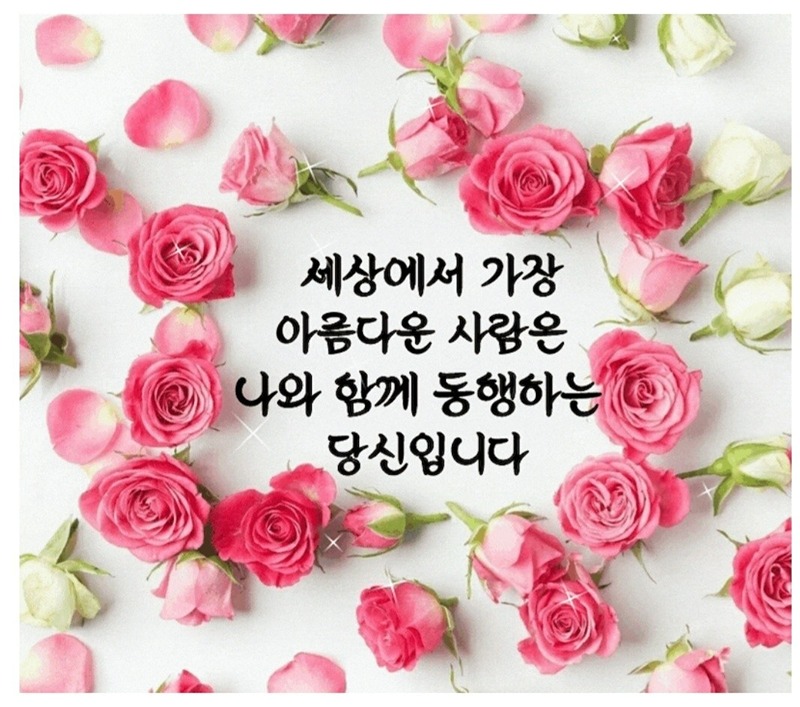 7080 코리아 라이브 썸네일