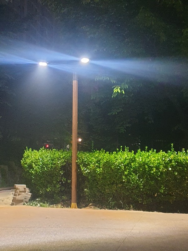 20-33 같이 산책해요 썸네일