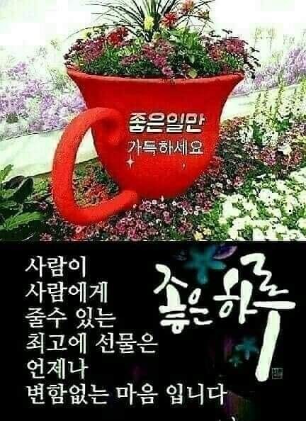 4060동네친구들 썸네일