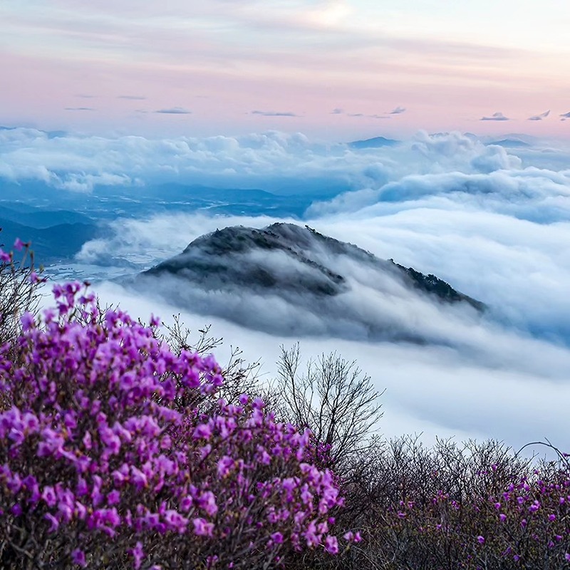 산 사진 썸네일