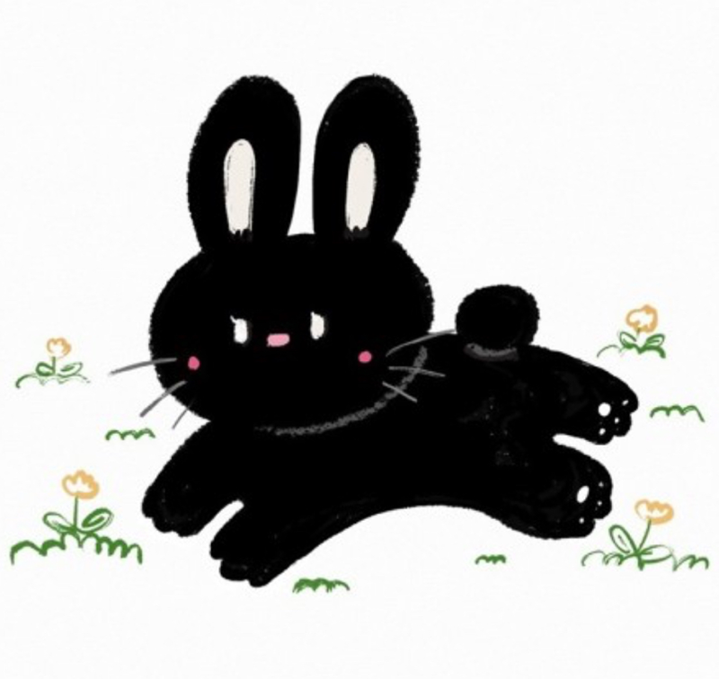 마창진 23년8월~12월 흑토끼친구해요🐰 썸네일