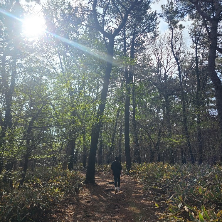 봉사도하고 돈도벌고(봉사와 기부천사) 썸네일