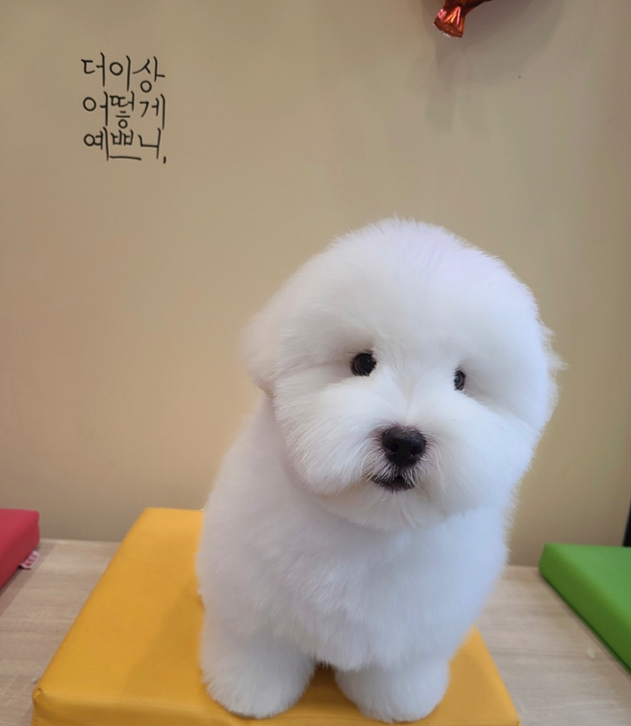 강사모 모임 썸네일