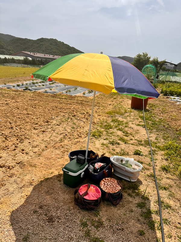 풀떼기 썸네일