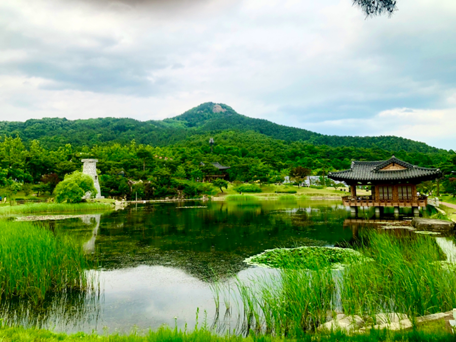 우리동네도 잘찾아보면 이쁜데 많네요 썸네일