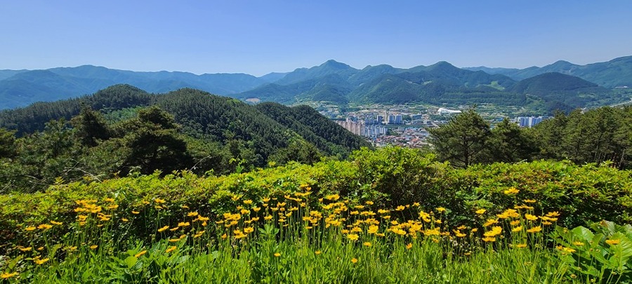 향로산 전망대 썸네일