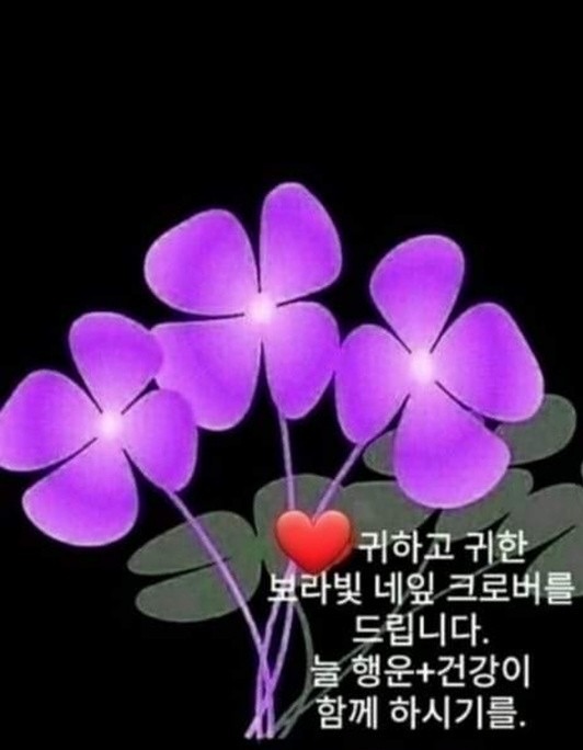 50♡60싱글마음열어주는방 썸네일