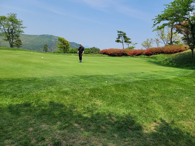 양산 필드 스크린 모임 썸네일