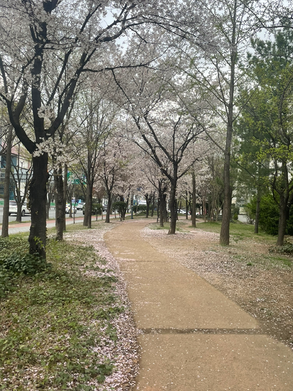 율하 2030 카페에서 그림이나 공부, 산책 썸네일