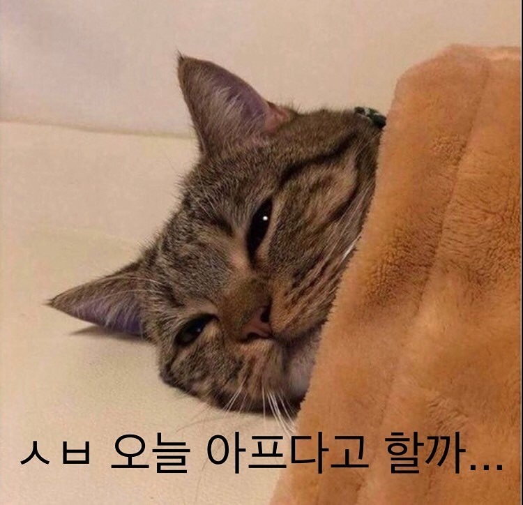 3040 강자힘👍강남 자영업자 힘내라!! 썸네일