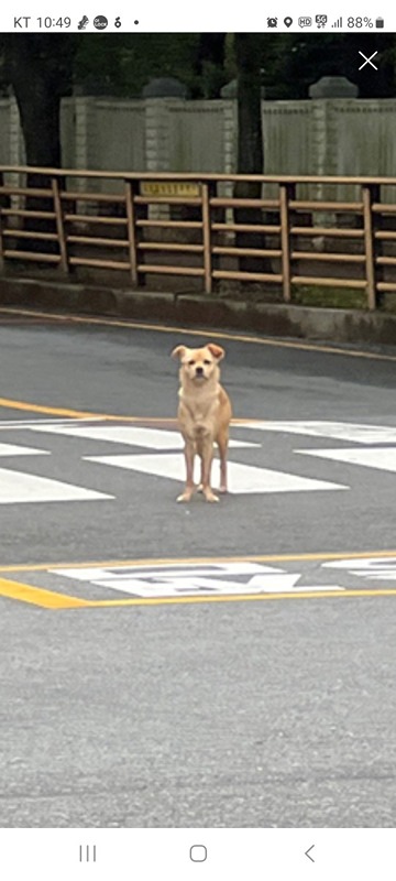 황금이 공유방 썸네일