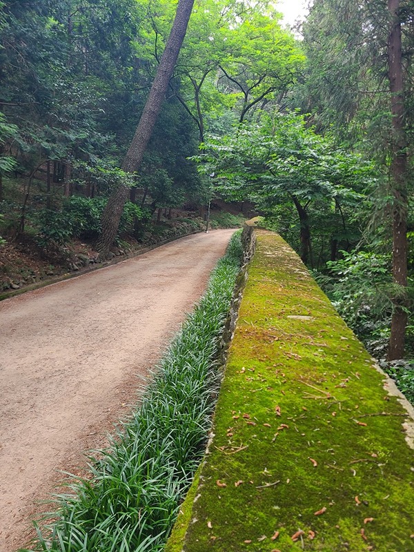 5.60 대신공원 숲쌘로드 산책