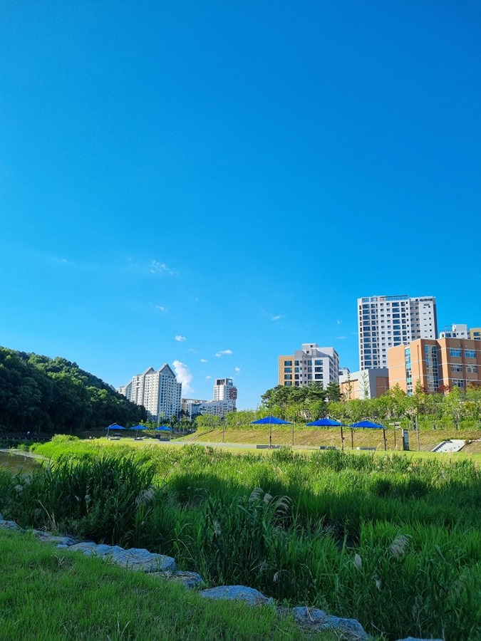 삼성천 썸네일