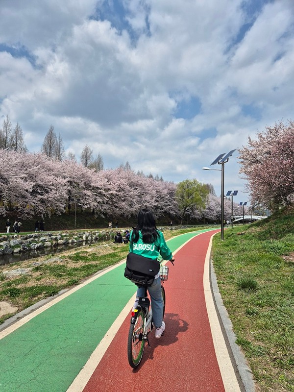 🚲양재천 따릉이 또는 동네 산책 한바퀴☝️ 썸네일