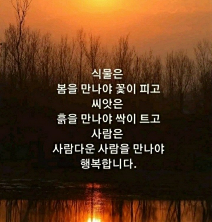 식물사랑방.텃밭모임.주말농장.도시농부.화초