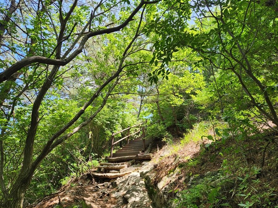 무학산에 오르면ᆢ 썸네일