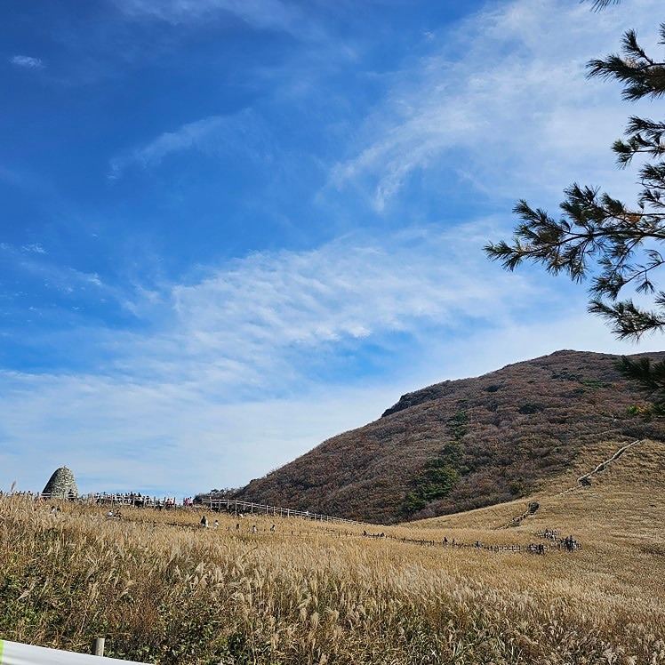 산친go(평일등산) 여성전용!!! 썸네일