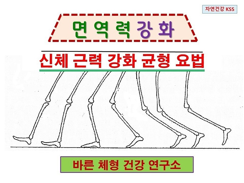 신체 근력 강화 균형요법20주강의 썸네일