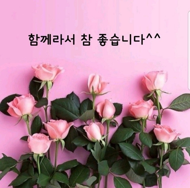 🌹🌹40대후반~60대후반🌹🌹 썸네일