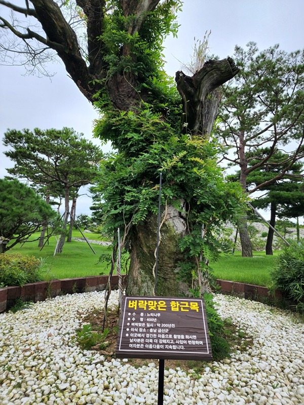 진천입니다. 주 1~2회스크린 골린이모임방 썸네일